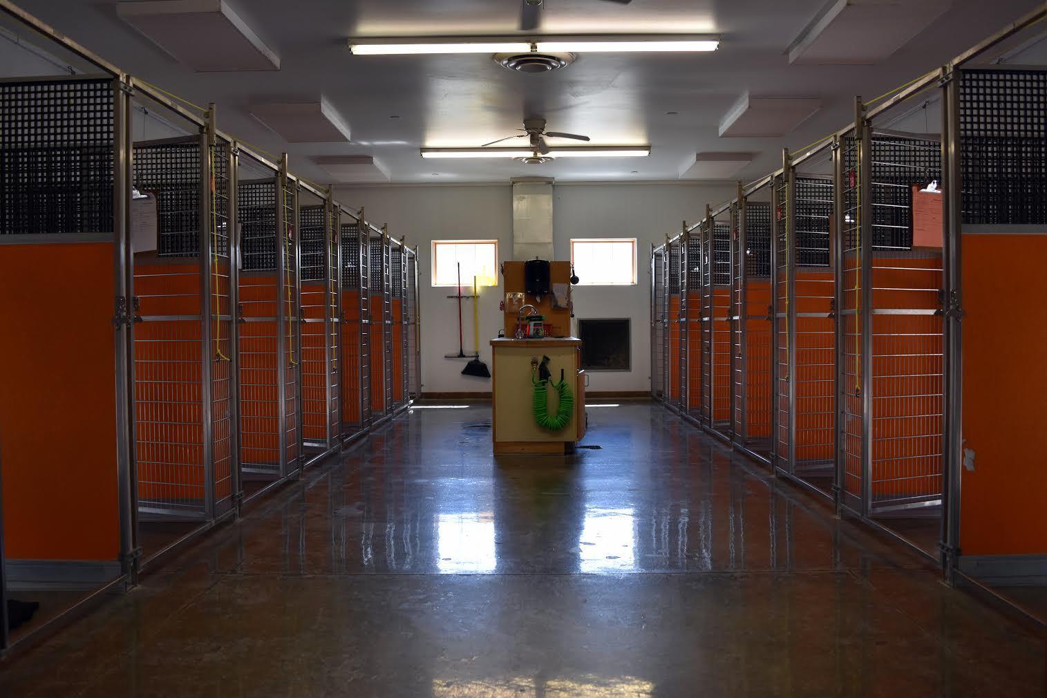 Our Facility Waggin' Tails